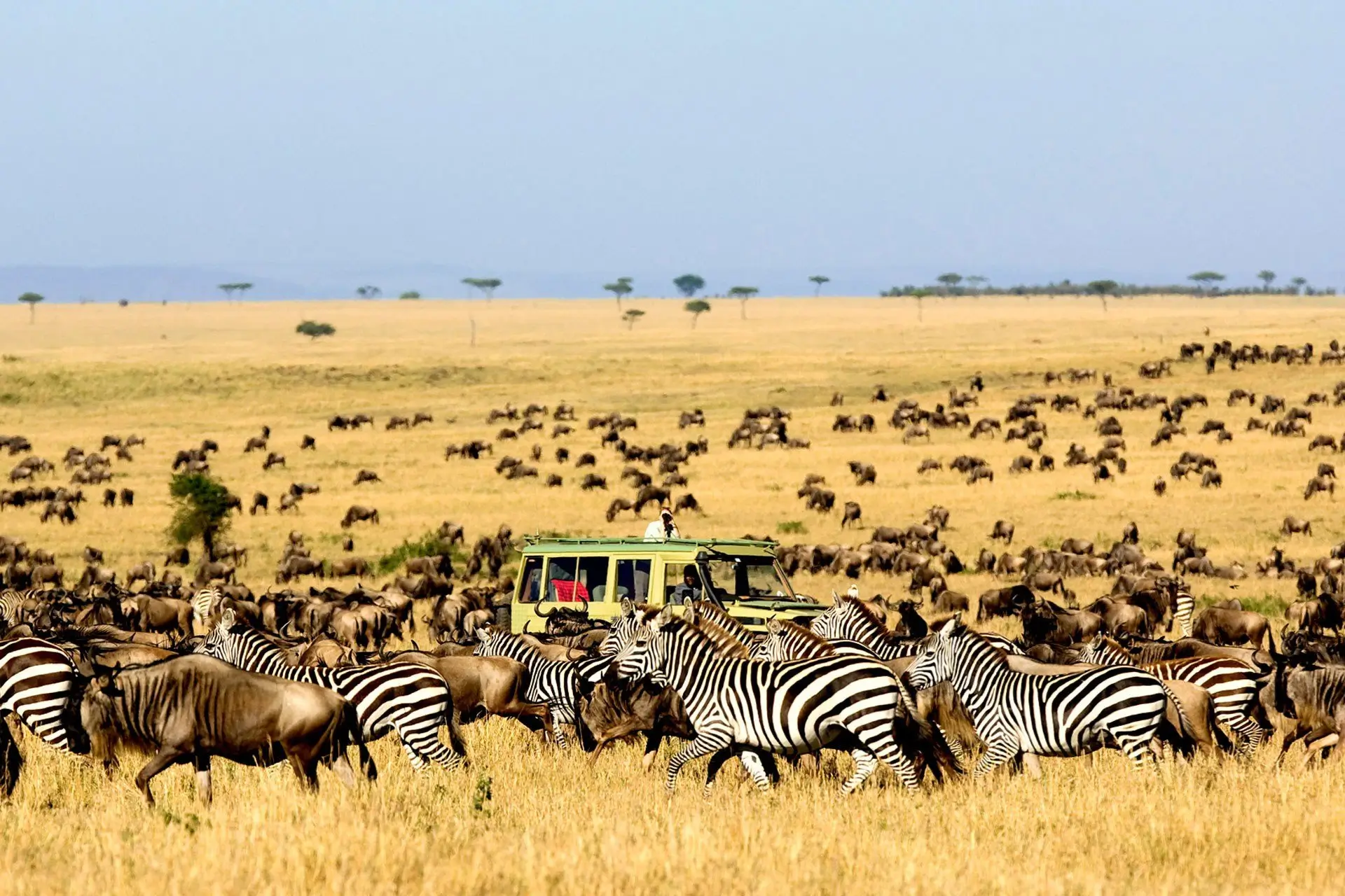 Kidepo Valley